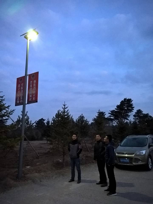 太陽能路燈，太陽能路燈廠家，太陽能路燈價格