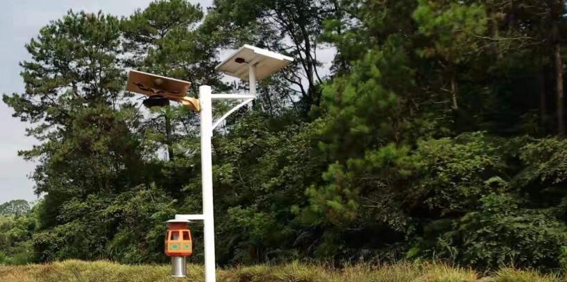 太陽能路燈為什么能節能改造