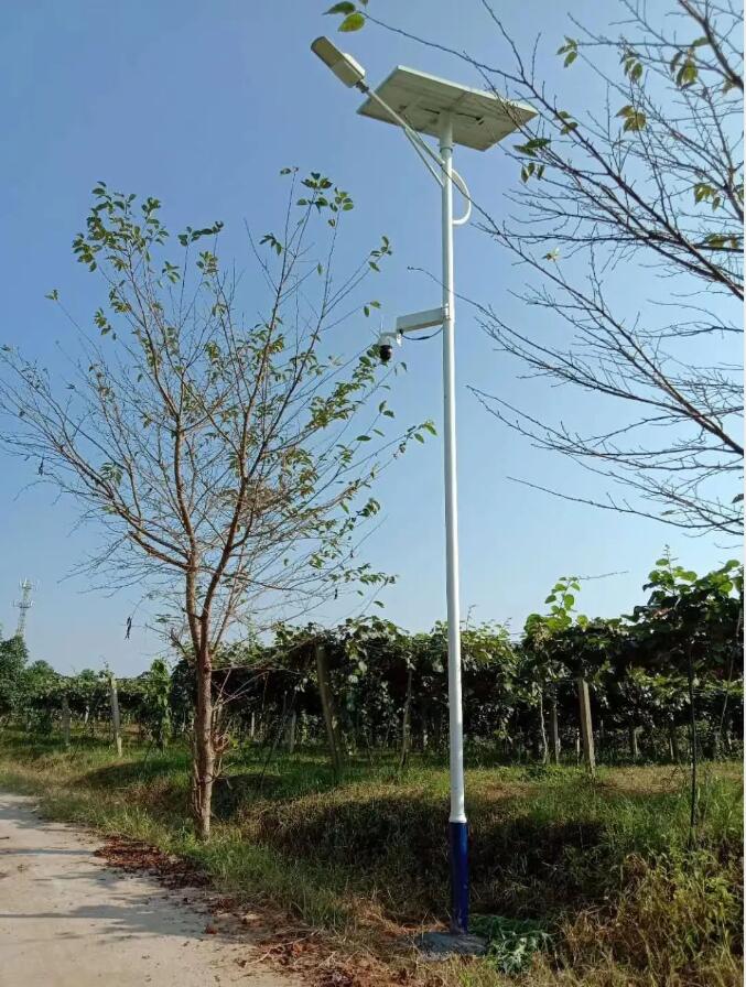 晴空排云雁高飛，源碼項(xiàng)目掀熱潮