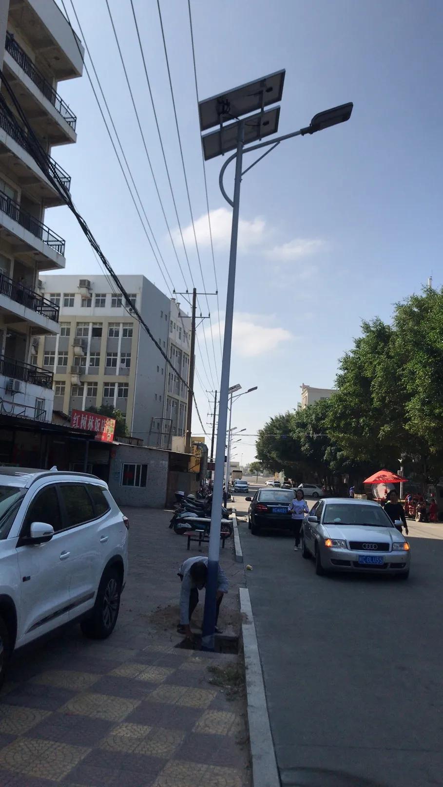 云鵬燈〡九萬里風(fēng)安稅駕，云鵬今悔不卑飛