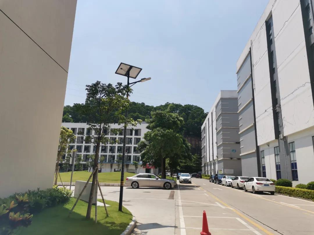 案例賞析〡云雁高飛，助力鄉村振興