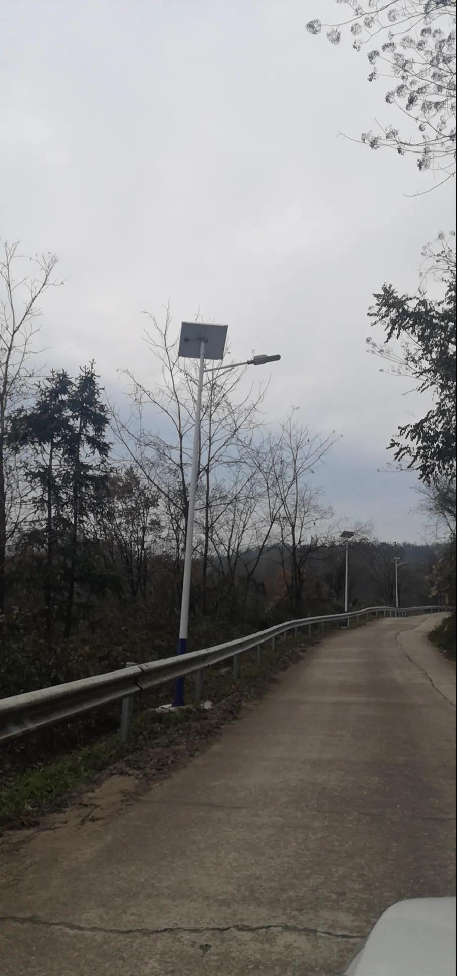 案例賞析〡云雁高飛，助力鄉村振興