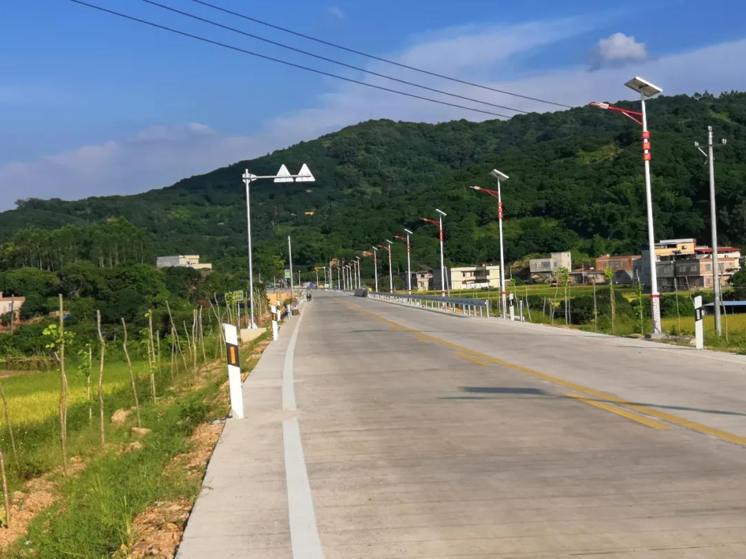 案例賞析〡云雁高飛，助力鄉村振興